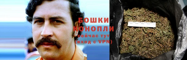 СК Волосово