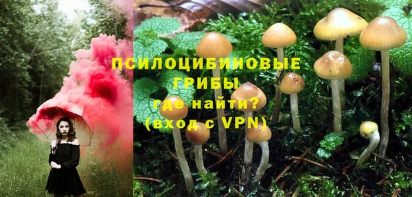 СК Волосово